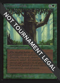 Ironroot Treefolk (CE)