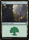 Forest (302)