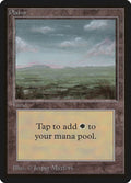 Plains (C)