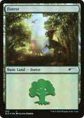 Forest (575)
