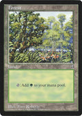 Forest (Arena League)