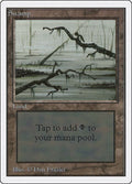Swamp (C)