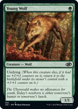 Young Wolf