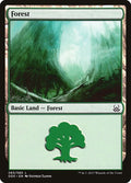 Forest (065)