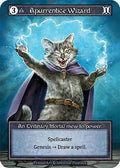 Apurrentice Wizard (Foil)