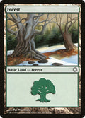 Forest (381)