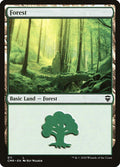 Forest (511)