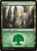 Forest (127)