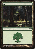 Forest (2011)