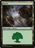Forest (32)