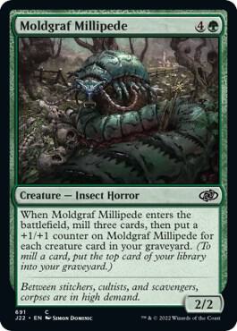 Moldgraf Millipede