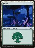 Forest (274)