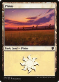 Plains (296)