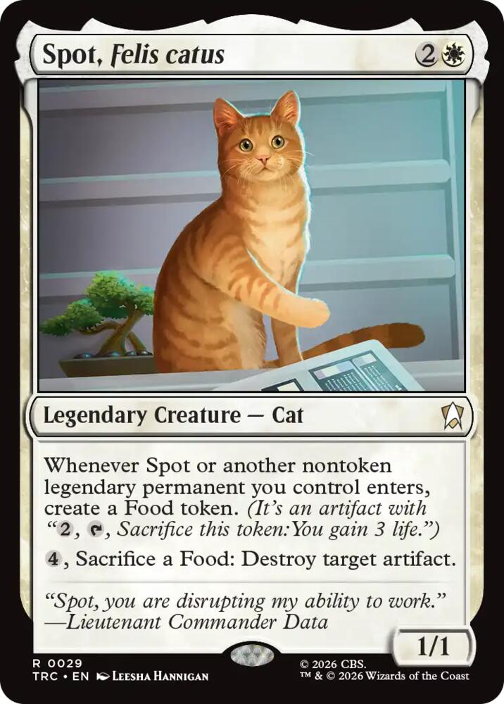 Spot, Felis catus (Surge Foil)