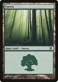 Forest (381)