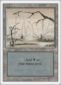 Swamp (B)
