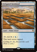 Irrigated Farmland
