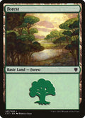 Forest (307)