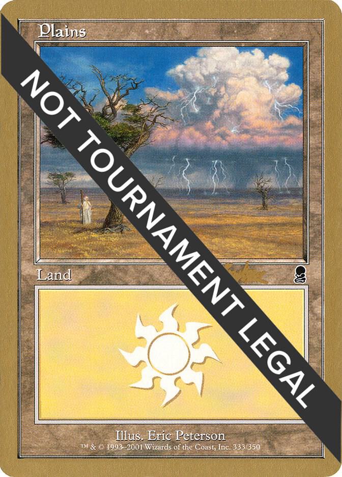 Plains (333) - 2002 Brian Kibler (ODY)