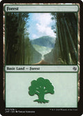 Forest (075)