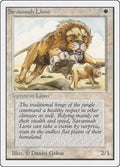Savannah Lions