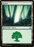 Forest (063)