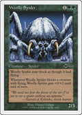 Woolly Spider